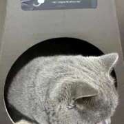 ヒメ日記 2025/09/03 12:20 投稿 もね 白いぽっちゃりさん五反田店