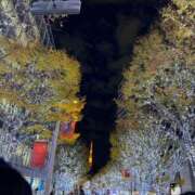 めあ 明日よろしくお願いします💕 池袋しろパラ