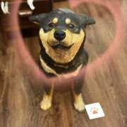 ヒメ日記 2025/09/08 12:16 投稿 冬美（フユミ） アバンチュール(五反田)