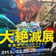 ヒメ日記 2025/11/02 11:31 投稿 冬美（フユミ） アバンチュール(五反田)