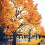 ヒメ日記 2025/11/30 07:46 投稿 冬美（フユミ） アバンチュール(五反田)