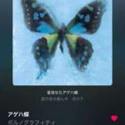 ヒメ日記 2025/12/02 07:46 投稿 冬美（フユミ） アバンチュール(五反田)