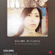 ヒメ日記 2026/02/11 08:16 投稿 冬美（フユミ） アバンチュール(五反田)