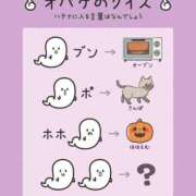 ヒメ日記 2026/03/03 08:31 投稿 冬美（フユミ） アバンチュール(五反田)