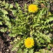 ヒメ日記 2026/04/05 10:31 投稿 冬美（フユミ） アバンチュール(五反田)