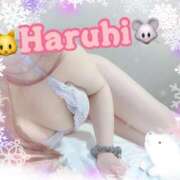 ヒメ日記 2025/09/30 19:16 投稿 はるひ ミセスサマンサ