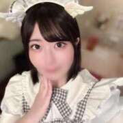 ヒメ日記 2025/10/20 17:24 投稿 はち チューリップ福井本館