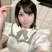 ヒメ日記 2025/11/22 08:34 投稿 はち チューリップ福井本館