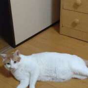 ヒメ日記 2025/08/08 12:56 投稿 二宮 熟女の風俗最終章 新横浜店