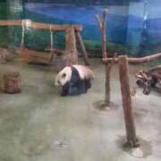 ヒメ日記 2025/08/22 12:06 投稿 二宮 熟女の風俗最終章 新横浜店