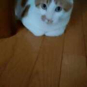 ヒメ日記 2025/09/23 11:56 投稿 二宮 熟女の風俗最終章 新横浜店