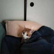 ヒメ日記 2025/10/04 15:56 投稿 二宮 熟女の風俗最終章 新横浜店