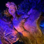 ヒメ日記 2026/01/27 16:13 投稿 ねお 熟女の風俗最終章　越谷店