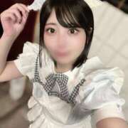 ヒメ日記 2025/10/22 08:44 投稿 はち チューリップ福井別館