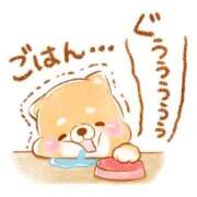 ヒメ日記 2025/08/29 19:20 投稿 はる 福盛