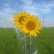 ヒメ日記 2025/11/06 04:25 投稿 なお すぐ舐めたくて学園立川校〜舐めたくてグループ〜