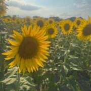 ヒメ日記 2025/11/08 23:55 投稿 なお すぐ舐めたくて学園立川校〜舐めたくてグループ〜