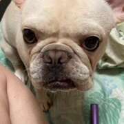 ヒメ日記 2026/04/17 15:28 投稿 松波 おふくろ