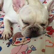 ヒメ日記 2026/03/14 12:21 投稿 あやね ぐらんまま