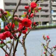 ヒメ日記 2026/03/09 07:08 投稿 りさ フォーシーズン