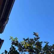 ヒメ日記 2026/03/10 20:20 投稿 りさ フォーシーズン