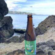 ヒメ日記 2025/08/23 12:46 投稿 つぼみ 東京人妻セレブリティ（ユメオト）