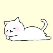 ヒメ日記 2025/09/12 21:00 投稿 つぼみ 東京人妻セレブリティ（ユメオト）