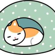 ヒメ日記 2025/09/15 21:35 投稿 つぼみ 東京人妻セレブリティ（ユメオト）