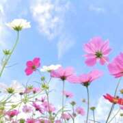 つぼみ 五反田に向かっています🚃 東京人妻セレブリティ（ユメオト）