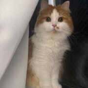 ヒメ日記 2026/01/31 14:31 投稿 凪(なぎ) グランドオペラ横浜