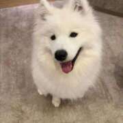 ヒメ日記 2026/02/20 17:24 投稿 凪(なぎ) グランドオペラ横浜