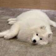 ヒメ日記 2026/02/25 23:17 投稿 凪(なぎ) グランドオペラ横浜