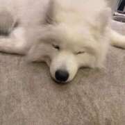 ヒメ日記 2026/02/26 15:21 投稿 凪(なぎ) グランドオペラ横浜