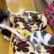 ヒメ日記 2025/09/11 07:33 投稿 かすみ カクテル(岡山)