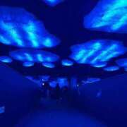 らん 出勤です！ 人妻の輝き(大阪)