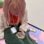 ヒメ日記 2025/08/08 18:05 投稿 きゃな ロリ巨乳のギャップ！ ウエスト・コム