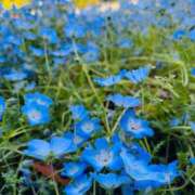 ヒメ日記 2025/08/11 16:34 投稿 のぞみ 一宮稲沢小牧ちゃんこ