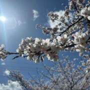 ヒメ日記 2025/08/12 14:04 投稿 のぞみ 一宮稲沢小牧ちゃんこ