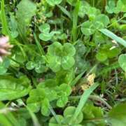 ヒメ日記 2025/08/13 19:26 投稿 のぞみ 一宮稲沢小牧ちゃんこ