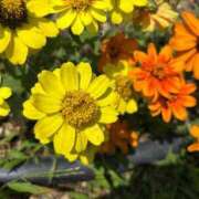 ヒメ日記 2025/08/15 23:44 投稿 のぞみ 一宮稲沢小牧ちゃんこ