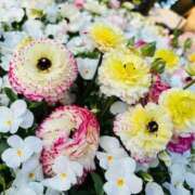 ヒメ日記 2025/08/16 17:14 投稿 のぞみ 一宮稲沢小牧ちゃんこ