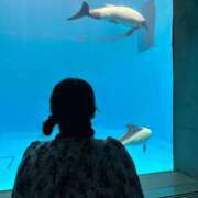 ヒメ日記 2025/09/03 19:47 投稿 のぞみ 一宮稲沢小牧ちゃんこ