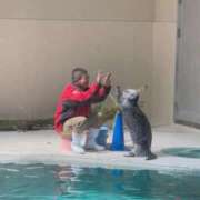 ヒメ日記 2025/09/08 00:11 投稿 のぞみ 一宮稲沢小牧ちゃんこ