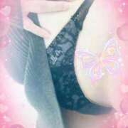 ヒメ日記 2025/11/14 10:08 投稿 亜希菜（あきな） PLUS十三店