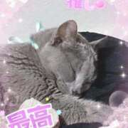 ヒメ日記 2026/01/27 10:19 投稿 亜希菜（あきな） PLUS十三店