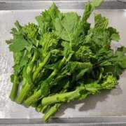 ヒメ日記 2026/02/13 10:18 投稿 亜希菜（あきな） PLUS十三店