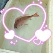 ヒメ日記 2026/04/27 10:08 投稿 亜希菜（あきな） PLUS十三店