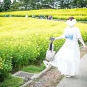 ヒメ日記 2025/09/27 08:42 投稿 さち ごほうびSPA 大阪店