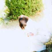 ヒメ日記 2025/11/04 16:42 投稿 さち ごほうびSPA 大阪店