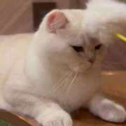 ヒメ日記 2026/09/12 18:02 投稿 さち ごほうびSPA 大阪店